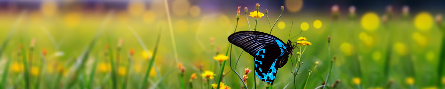 "El cambio es el crecimiento natural"