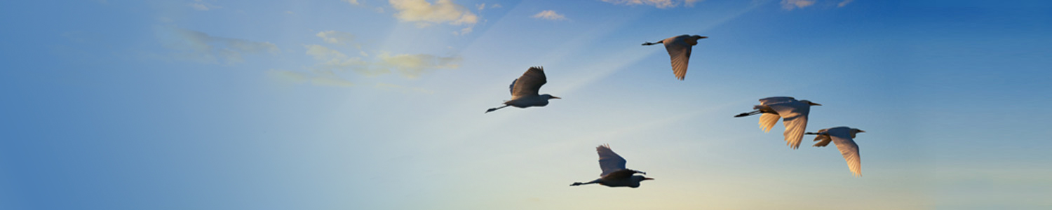 "El cambio es clave, para seguir siendo relevantes"