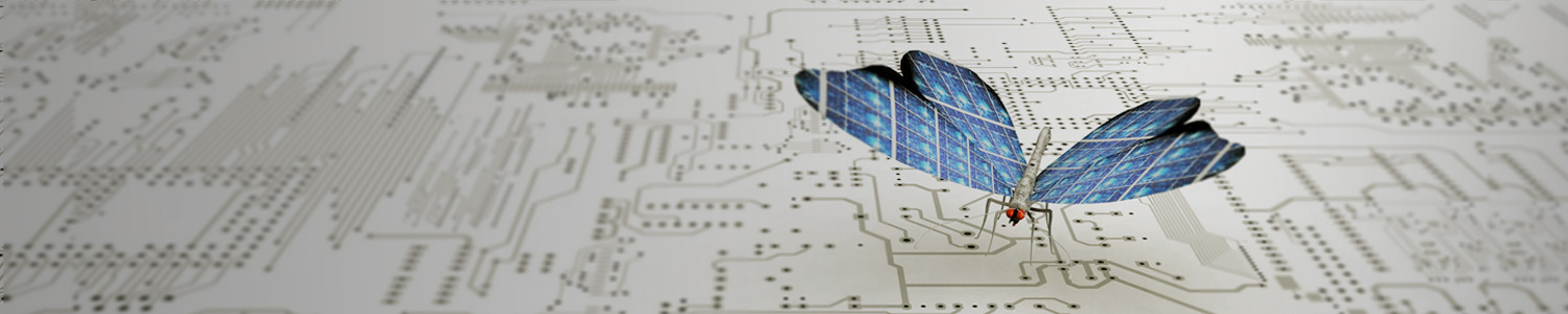 "Información no es transformación"