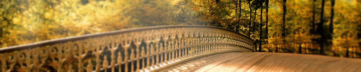 "El que quiera ser líder debe ser puente"